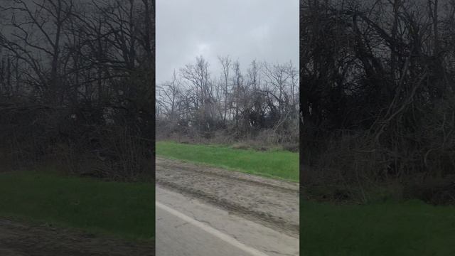 Видео N 93