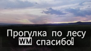 Прогулка по лесу. WM.