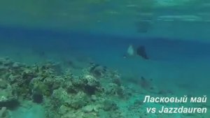 Ласковый май vs Jazzdauren