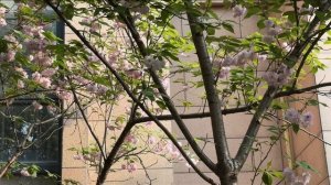 ИНТЕРЕСНЫЙ ДЕНЬ КИТАЙ  ЕДА И ПУТЕШЕСТВИЯ ПО КИТАЮ ИНТЕРЕСНЫЕ МЕСТА #китай #еда #обзоры #путешествия