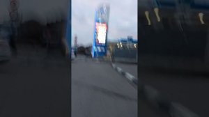 засохшее старое дерево