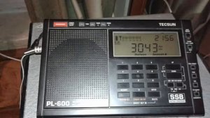 Вторая часть TECSUN PL 600