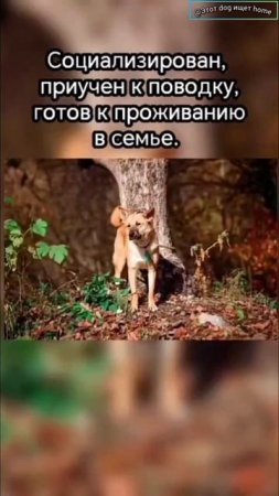 Откликнись, забери