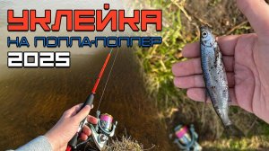 Ловля уклейки на спиннинг – это реально? Открытие сезона 2025