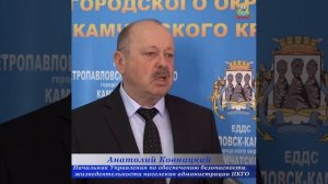 Медведи Камчатки просыпаются. Рыси ходят в городе.