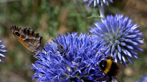 15674403-uhd_3840_2160_24fps