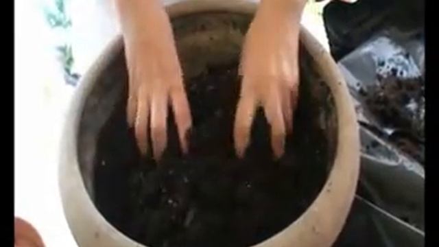 Терракоттем добавка за почва за трева смотреть онлайн