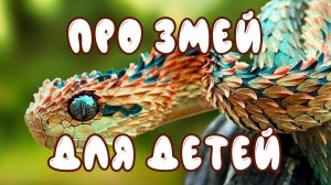ИЗУЧАЕМ ЗМЕЙ | ПОЗНАВАТЕЛЬНОЕ ВИДЕО ДЛЯ ДЕТЕЙ
