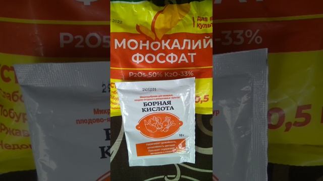 Варианты подкормки бором томатов в начале цветения