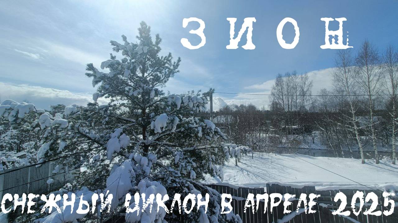 Снежный циклон "Зион" | Апрель 2025 Подмосковье