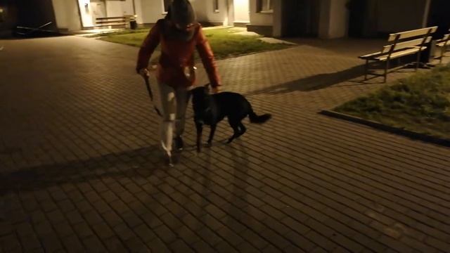 Наведение, поворотики, торможение ку ку, вперед Тако смотреть онлайн