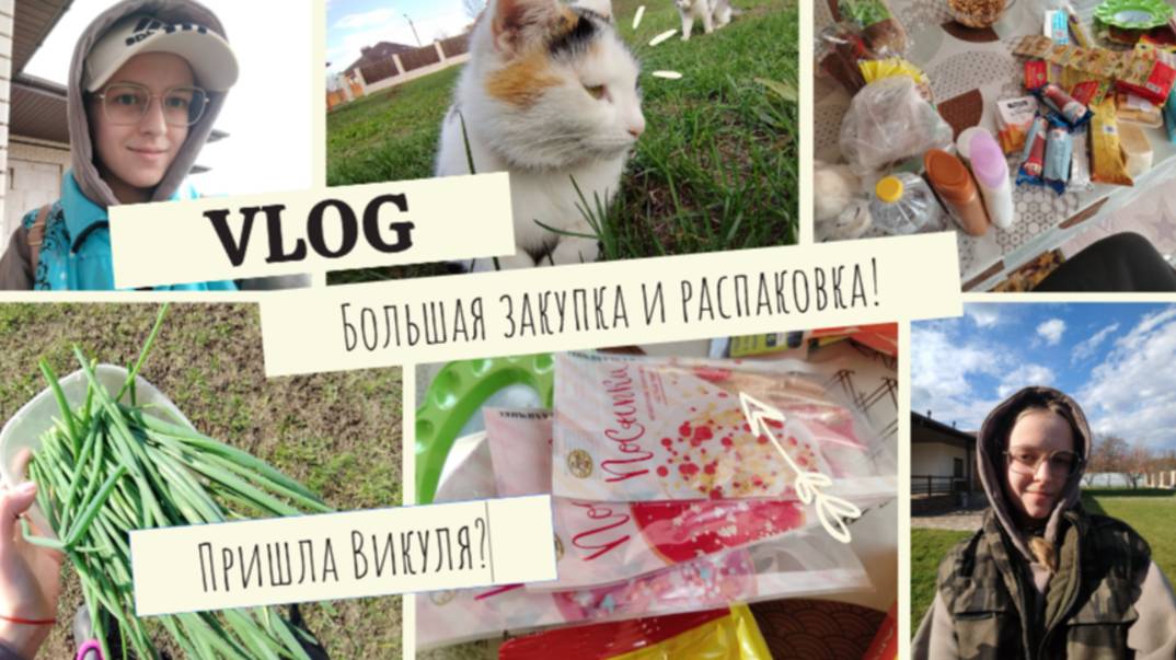VLOG Большая закупка и распаковка!🍄 Пришла Викуля?🪲