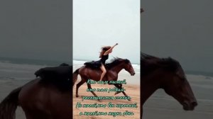 Наша жизнь-ромашка в поле... Стихи Булата Окуджавы. Читает Станислав Садальский.