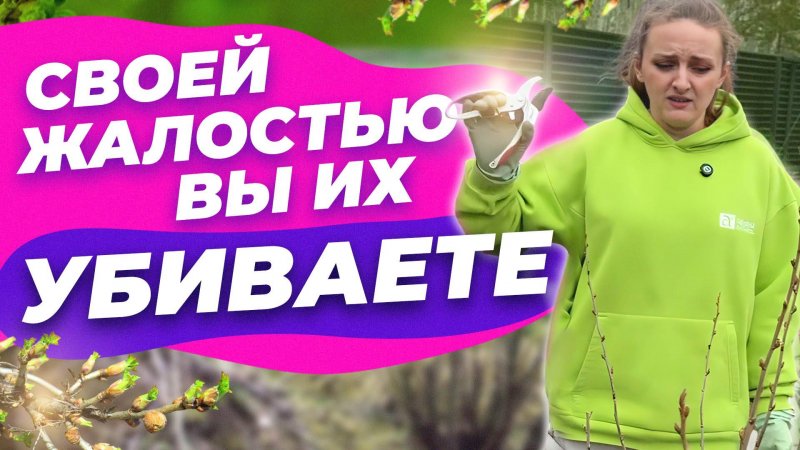 НЕ БОЙТЕСЬ ОБРЕЗАТЬ РАСТЕНИЯ