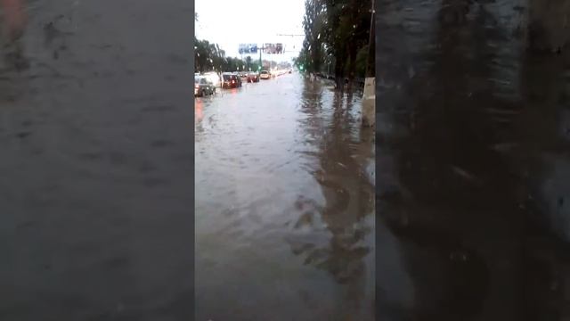 Спасли Бабушку.Волгоград.13.07.2019г. смотреть онлайн
