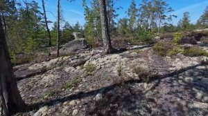 Карелия , Онежское озеро , Петроглифы .