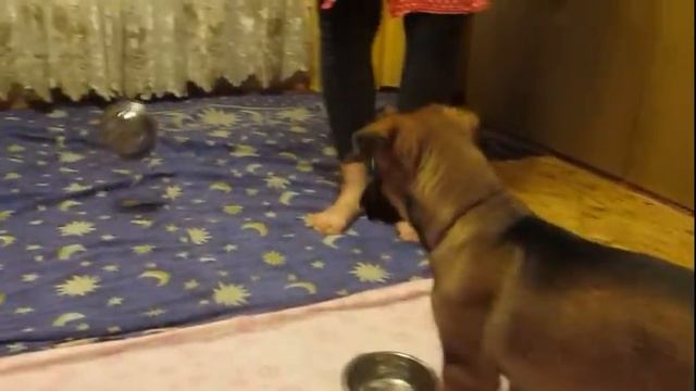 Atas 2 смотреть онлайн