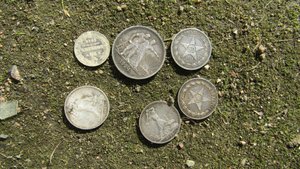 Фотоподборка наших находок