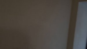 20241001_165615.mp4