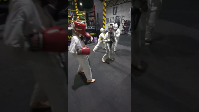 Kyokushinkai karate Cyprus #karate
