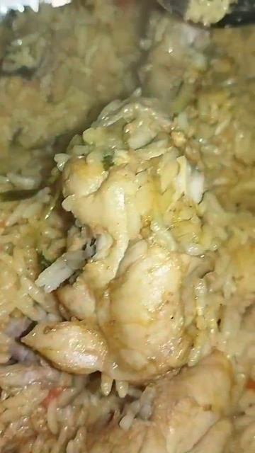 #biryanilovers #like #shorts  #youtuber  #chickenbiryani #short #shortvideo #shortsvideo  #leo #Ak6