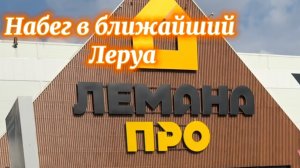 Обзор орхидей и других растишек из Лемана в Люберцах (Леруа)