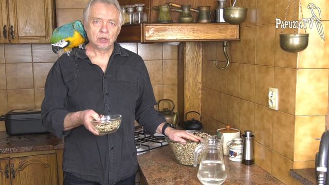 Gotujemy papuzi obiad