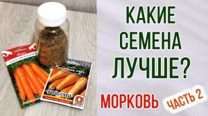 Какие семена лучше. Сравниваем семена моркови. Самособранные семена. Русский огород.