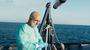 Мертвое море 2024