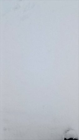Весной люблю снег, летом и конечно же зимой❄
