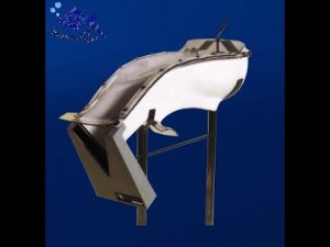 Видео работы счетчика для рыбы Vaki Bioscanner