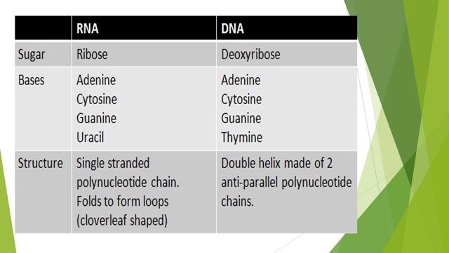 DNA |Biology |Knowledge is Power.