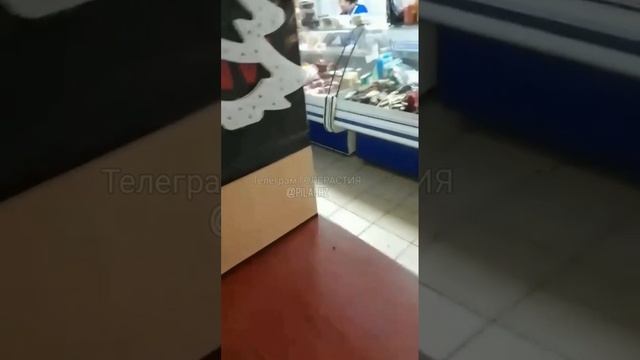 В городе Узловая неадекватный мигрант повадился ходить в местный магазин и устраивать в нём погромы