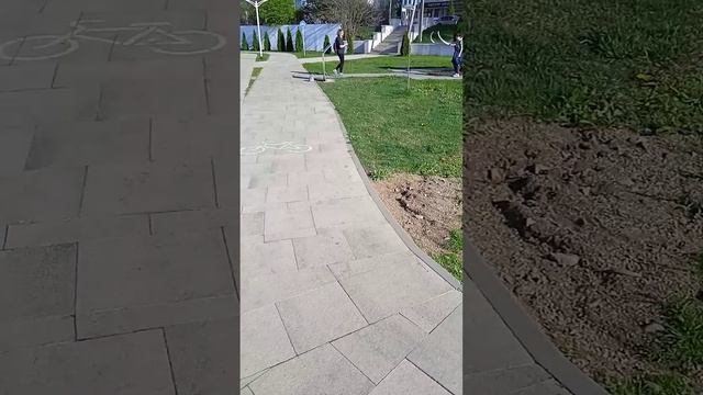 Аллея тысячи сосен. Озеро. Завершаем поездку.