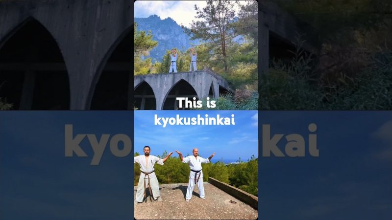 This is kyokushinkai