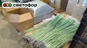 В СВЕТОФОРЕ 🚦 пополнение на колесах для САДА, с лавандой на стол, свежие фрукты, овощи, мясо, рыба