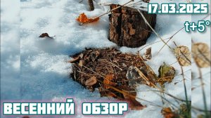 17.03.2025 Весенний обзор.