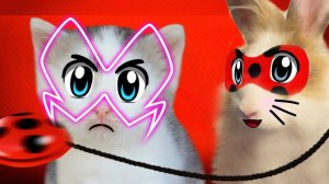ЛЕДИБАФ И СУПЕР КОТ МАЛЫШ спасают ВЕЧЕРИНКУ! КОШКА МУРКА ЗАКОЛДОВАНА! Ladybug | А ну-ка давай-ка