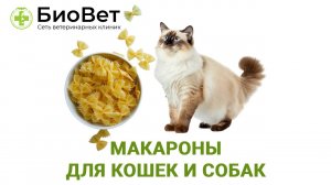 Можно ли питомцам макароны