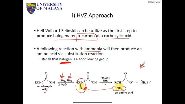 Universiti Malaya (SID2004) Lecture 2 - Introduction to Protein & Peptide
