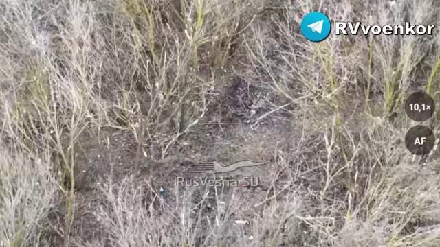 ‼️🇷🇺💥 Разведка накрывает пехоту ВСУ, пытающуюся прорваться к белгородской Демидовке. смотреть онлайн