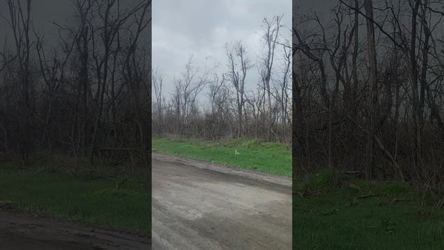 Видео N 94