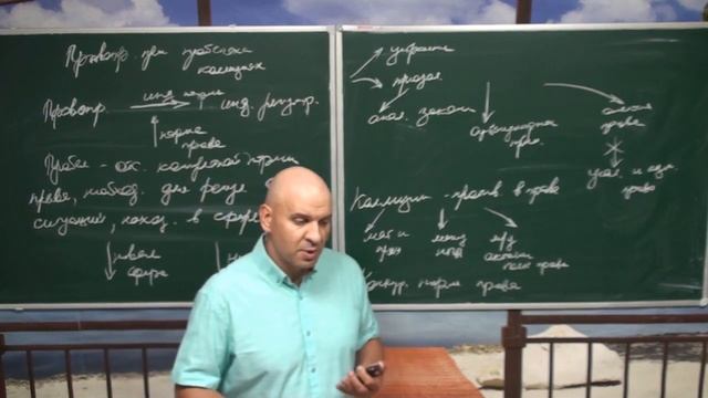 Правоприменение при пробелах и коллизиях смотреть онлайн