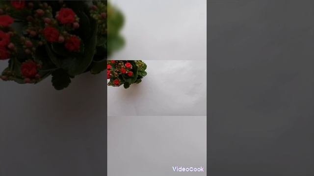 Не вязальные выходные.