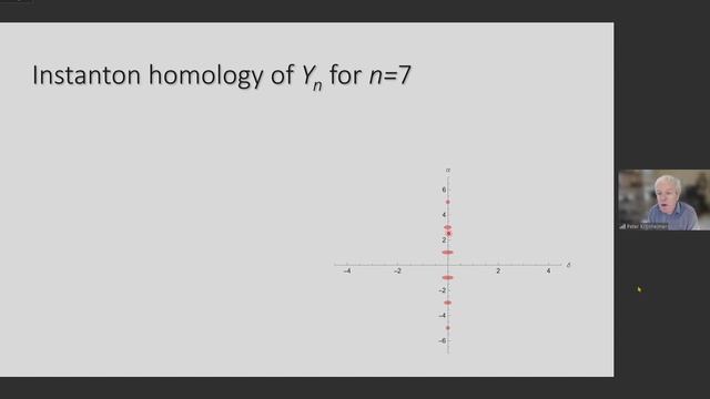 Algebraic curves defined by singular instanton homology