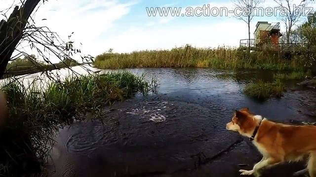 action camera biz video gopro hero4 silver 4 смотреть онлайн