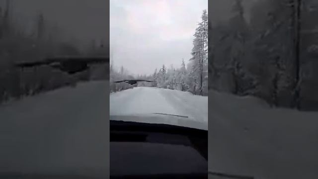 Ворон хозяин времени, Ворон хранитель вечности. Мудрость веков, Неся на крыльях.#хокку