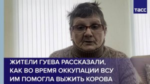 Жители Гуева рассказали, как во время оккупации ВСУ им помогла выжить корова