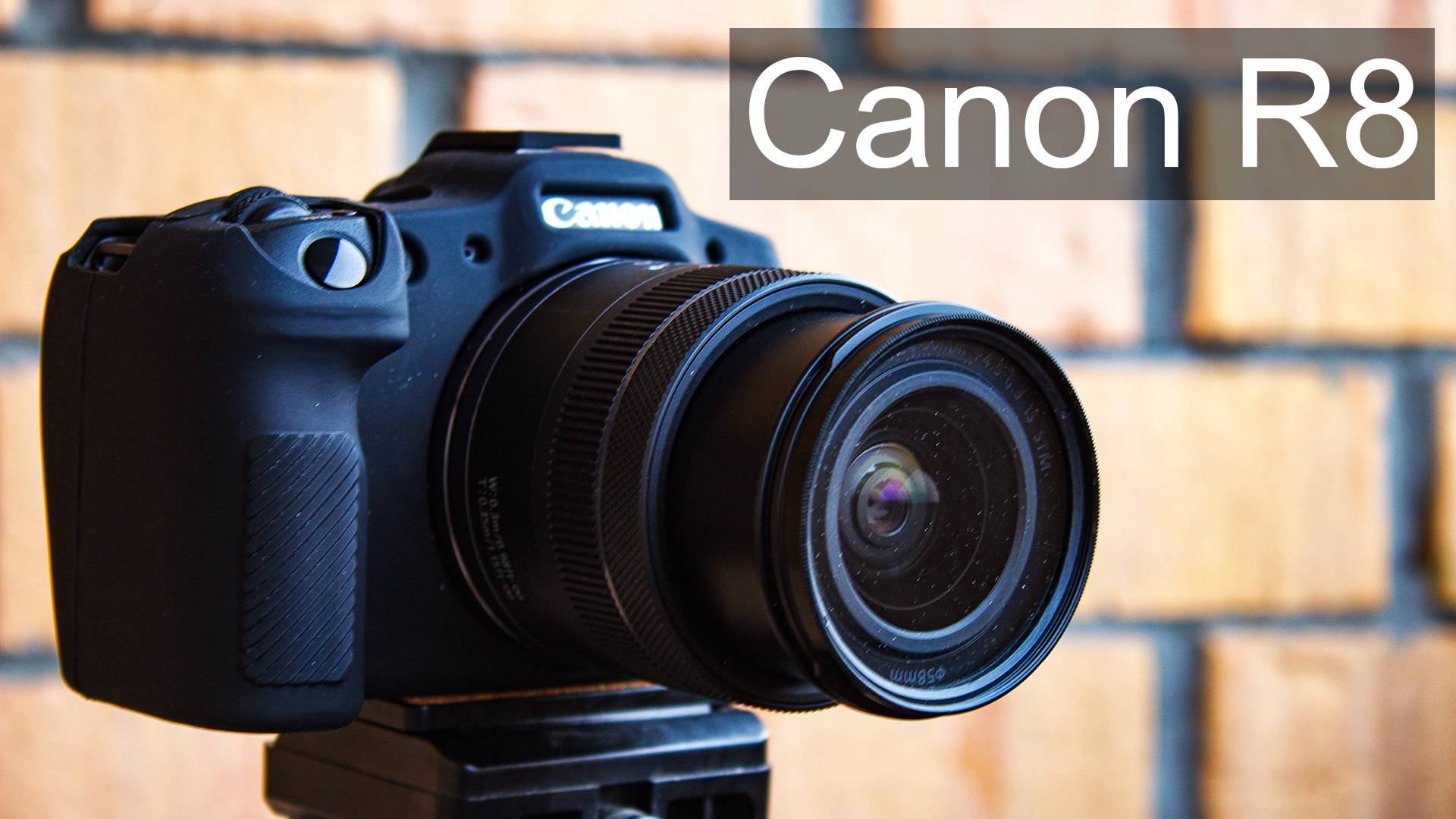 Весенний лес, пни и мох на Canon R8
