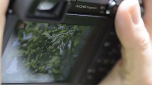 Panasonic GX7